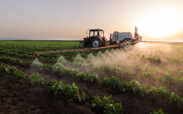 Pest Control Cost in Liverpool, NY