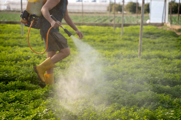 Best Pest Prevention Services  in Liverpool, NY