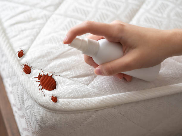  Liverpool, NY Pest Control Pros