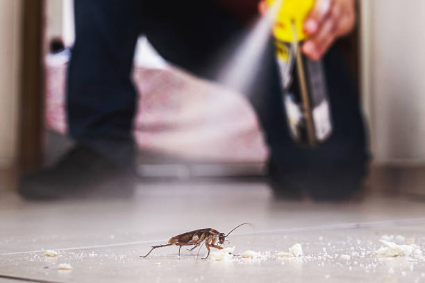 Pest Prevention Services in Liverpool, NY